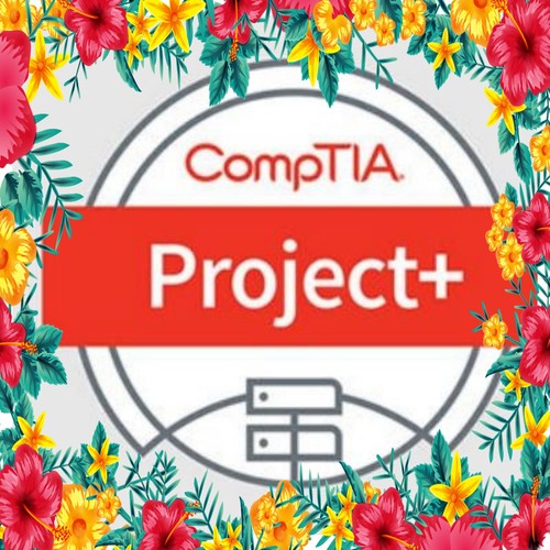 Product picture CompTIA Network+ Study Guide: Exam N10-007